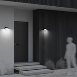 Фото O447WL-L7GF3K - 4