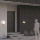 Фото O448WL-L9GF3KSR - 13