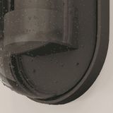 Фото O449WL-01GF - 13