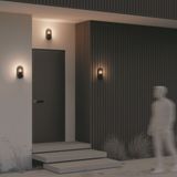 Фото O449WL-01GF - 15