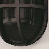 Фото O449WL-01GF1 - 11