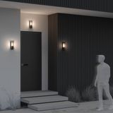 Фото O450WL-01GF - 6