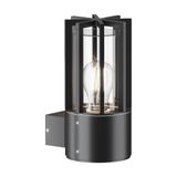 Фото O453WL-01GF - 1