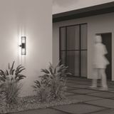 Фото O453WL-02GF - 14