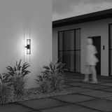 Фото O453WL-02GF - 5