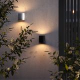 Фото O490WL-L6W3K - 2