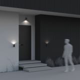 Фото O574WL-01B - 5