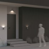 Фото O574WL-01GR - 13