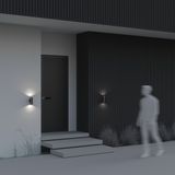 Фото O574WL-02B - 6