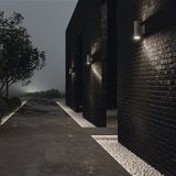 Фото O574WL-02W - 9