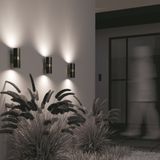 Фото O582WL-02B - 15