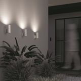 Фото O583WL-01W - 14