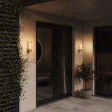 Фото O593WL-L8BR3K - 3