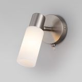 Настенный светильник со стеклянным плафоном 20043/1 сатин-никель — фото 1