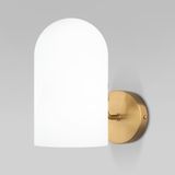 Настенный светильник со стеклянным плафоном 60157/1 латунь — фото 1