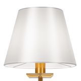 Фото FR1006TL-01G - 5