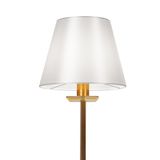 Фото FR1006TL-01G - 6