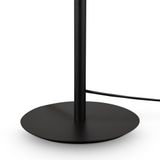 Фото FR1011TL-01B - 6