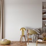 Фото FR5218TL-01BS - 2