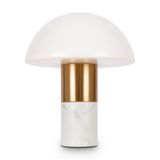 Фото FR5285TL-01BS - 5