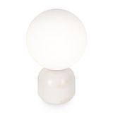 Фото FR5288TL-01W - 2