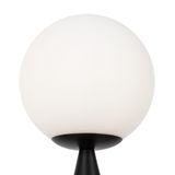 Фото FR5289TL-01B - 7