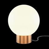 Фото MOD321TL-01G3 - 9