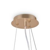 Фото FR1010PL-10G - 6