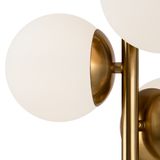 Фото FR5199PL-03BS - 3