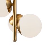 Фото FR5199PL-05BS1 - 7