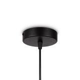 Фото FR5243PL-01BR8 - 8