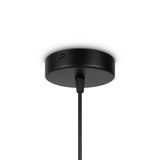 Фото FR5243PL-01BR9 - 9