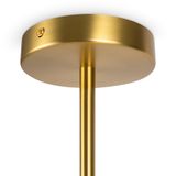 Фото FR5253PL-08BS - 4