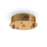 Фото FR5257PL-L25G - 2