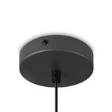 Фото FR5392PL-01GR1 - 6