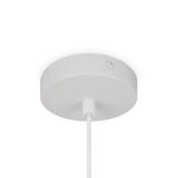 Фото FR5392PL-01W - 6