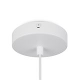 Фото FR5392PL-01W1 - 6