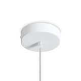 Фото FR5484PL-01W - 5