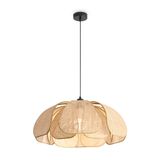 Фото FR5529PL-01B - 1