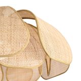 Фото FR5529PL-01B - 4