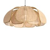 Фото FR5529PL-01B - 6