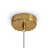 Фото FR5533PL-01BS - 7