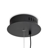 Фото FR5556PL-L22BBS - 6