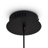 Фото FR5557PL-L14B - 5