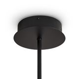 Фото FR5557PL-L22B - 6