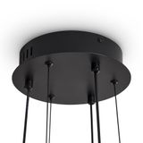 Фото FR5557PL-L22B1 - 6