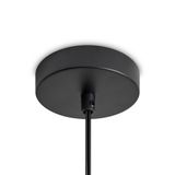 Фото FR5558PL-01BR - 6