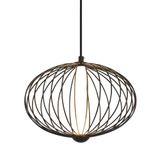 Фото FR6131PL-L10B - 4