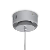 Фото FR6138PL-L21CH - 6