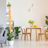 Фото FR8001PL-01WG - 4